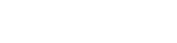 lotus     01019919